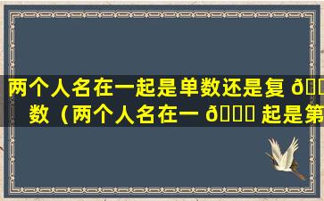 两个人名在一起是单数还是复 🐡 数（两个人名在一 🐝 起是第三人称单数吗）